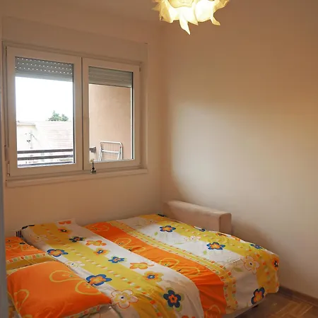 Cozy Nest Apartment